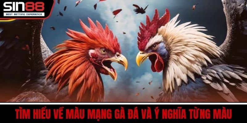 Màu Mạng Gà Đá – Xem Mạng Gà Hợp Ngày Đá Chuẩn Nhất 2 Tìm hiểu về màu mạng gà đá và ý nghĩa từng màu