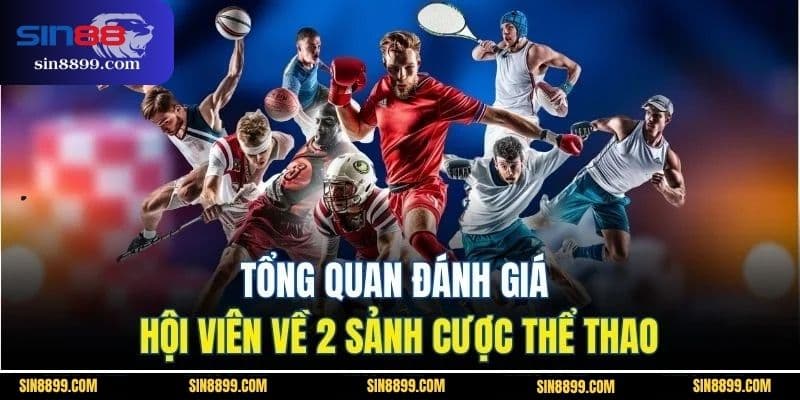 K-Sports Và P-Sports | 2 Sảnh Thể Thao Uy Tín Tại SIN88 5 Tổng quan đánh giá hội viên về 2 sảnh cược thể thao